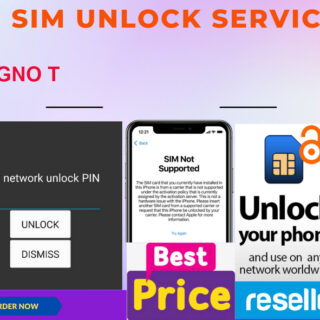 sim unlock service DIGNO T